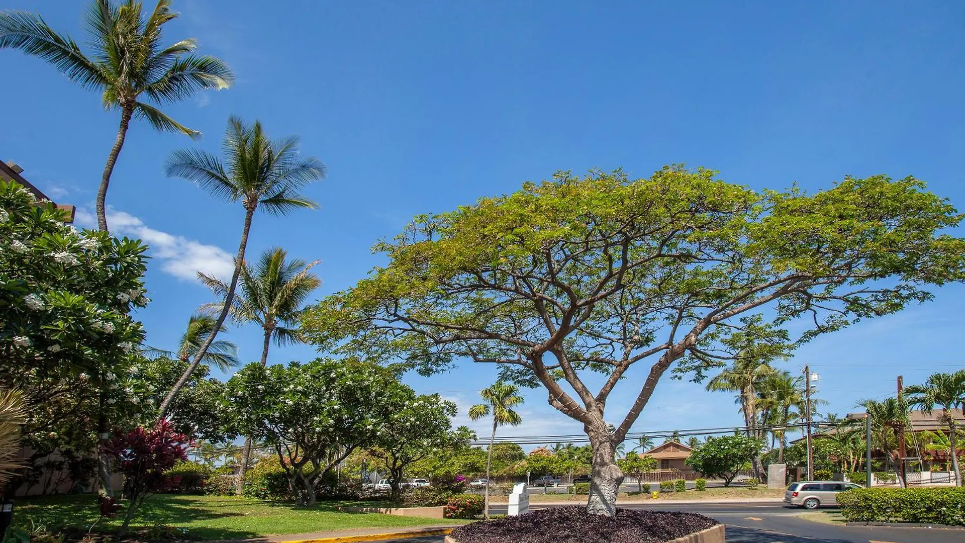Holiday home Maui Vista 1310 - Mch Villa Kihei
